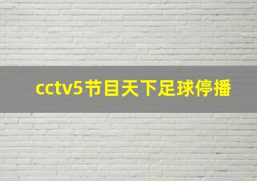 cctv5节目天下足球停播