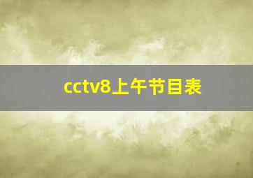 cctv8上午节目表