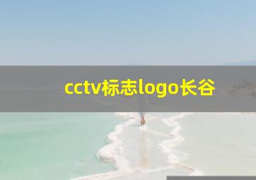 cctv标志logo长谷