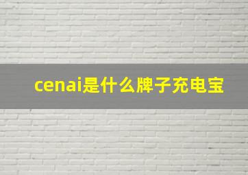 cenai是什么牌子充电宝