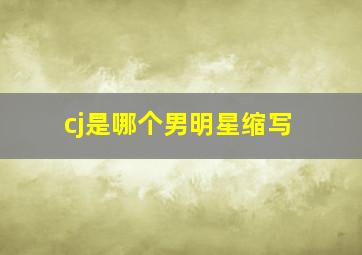 cj是哪个男明星缩写