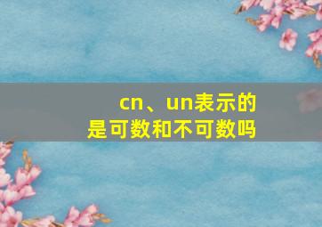 cn、un表示的是可数和不可数吗