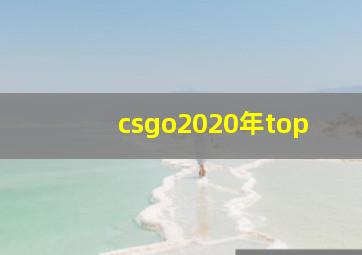 csgo2020年top