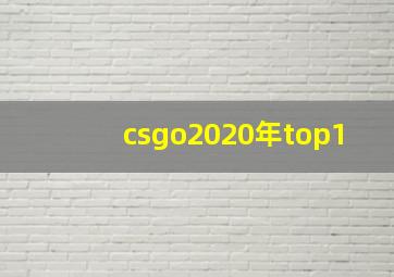 csgo2020年top1