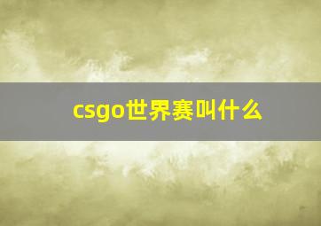 csgo世界赛叫什么