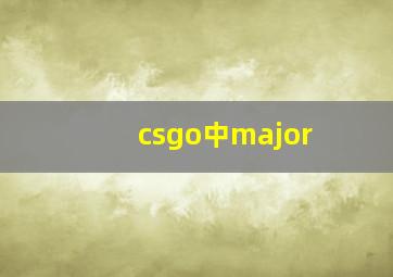 csgo中major