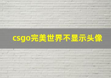 csgo完美世界不显示头像