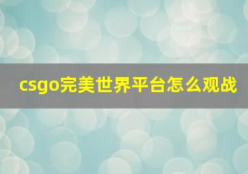 csgo完美世界平台怎么观战