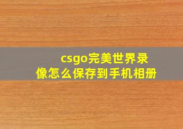 csgo完美世界录像怎么保存到手机相册