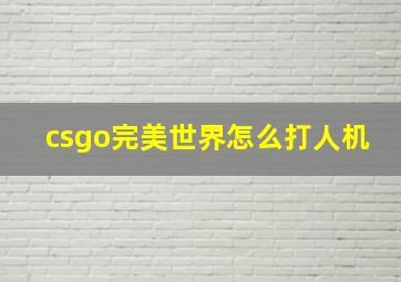 csgo完美世界怎么打人机