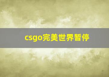 csgo完美世界暂停