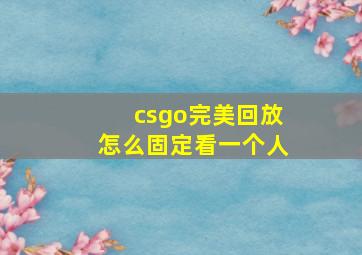 csgo完美回放怎么固定看一个人