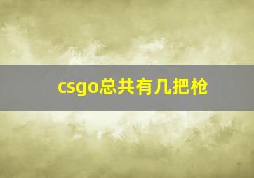 csgo总共有几把枪