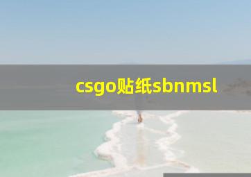 csgo贴纸sbnmsl