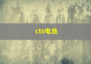 cts电池