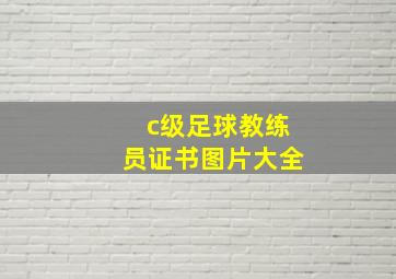 c级足球教练员证书图片大全