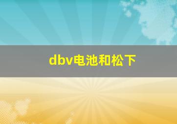 dbv电池和松下