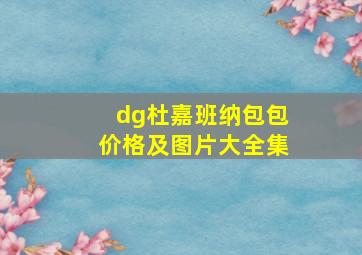 dg杜嘉班纳包包价格及图片大全集