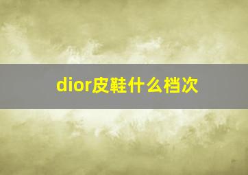 dior皮鞋什么档次