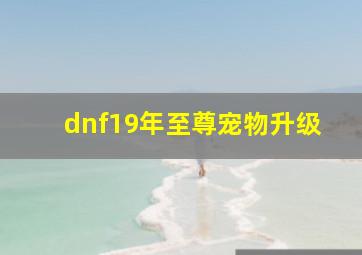 dnf19年至尊宠物升级