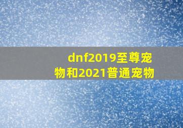 dnf2019至尊宠物和2021普通宠物