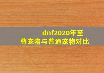 dnf2020年至尊宠物与普通宠物对比