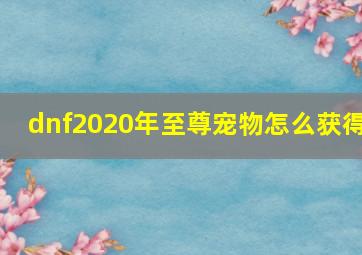 dnf2020年至尊宠物怎么获得