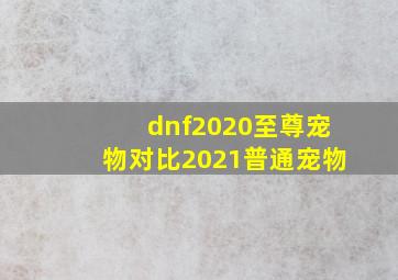 dnf2020至尊宠物对比2021普通宠物