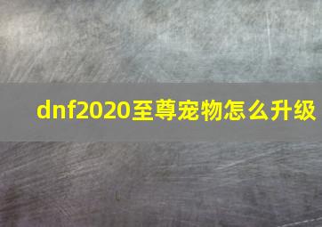 dnf2020至尊宠物怎么升级