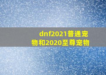 dnf2021普通宠物和2020至尊宠物