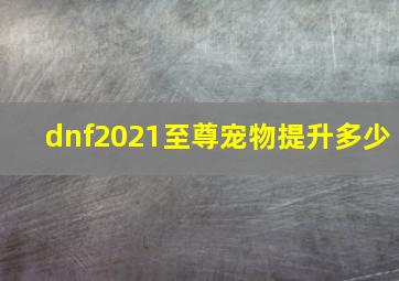 dnf2021至尊宠物提升多少