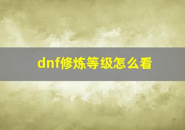 dnf修炼等级怎么看