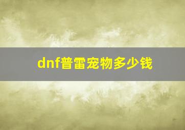 dnf普雷宠物多少钱