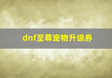 dnf至尊宠物升级券