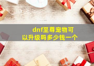 dnf至尊宠物可以升级吗多少钱一个