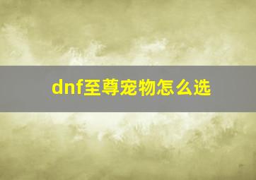 dnf至尊宠物怎么选