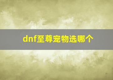 dnf至尊宠物选哪个