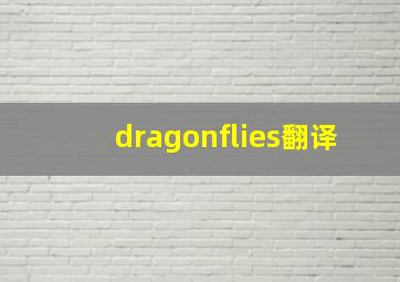 dragonflies翻译