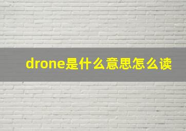 drone是什么意思怎么读