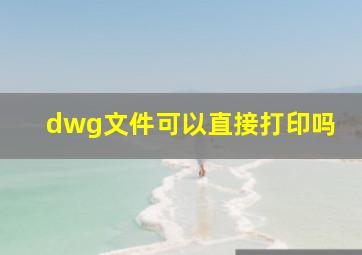 dwg文件可以直接打印吗