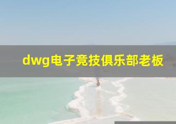 dwg电子竞技俱乐部老板