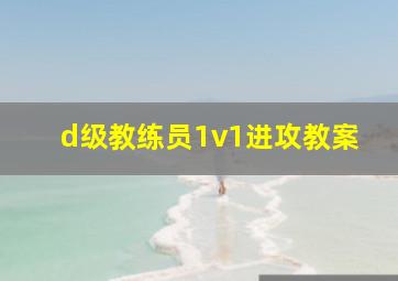 d级教练员1v1进攻教案