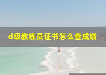 d级教练员证书怎么查成绩