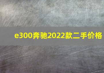 e300奔驰2022款二手价格