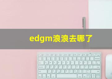 edgm浪浪去哪了