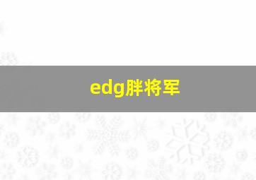 edg胖将军