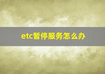 etc暂停服务怎么办