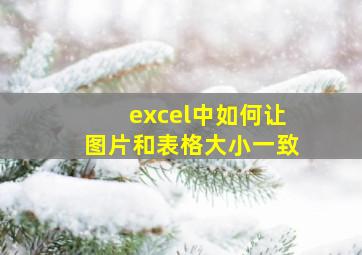 excel中如何让图片和表格大小一致