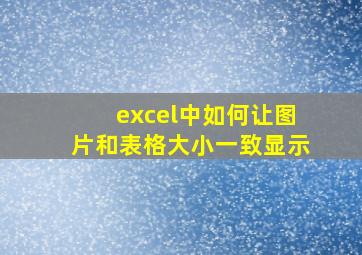 excel中如何让图片和表格大小一致显示