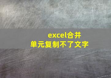 excel合并单元复制不了文字